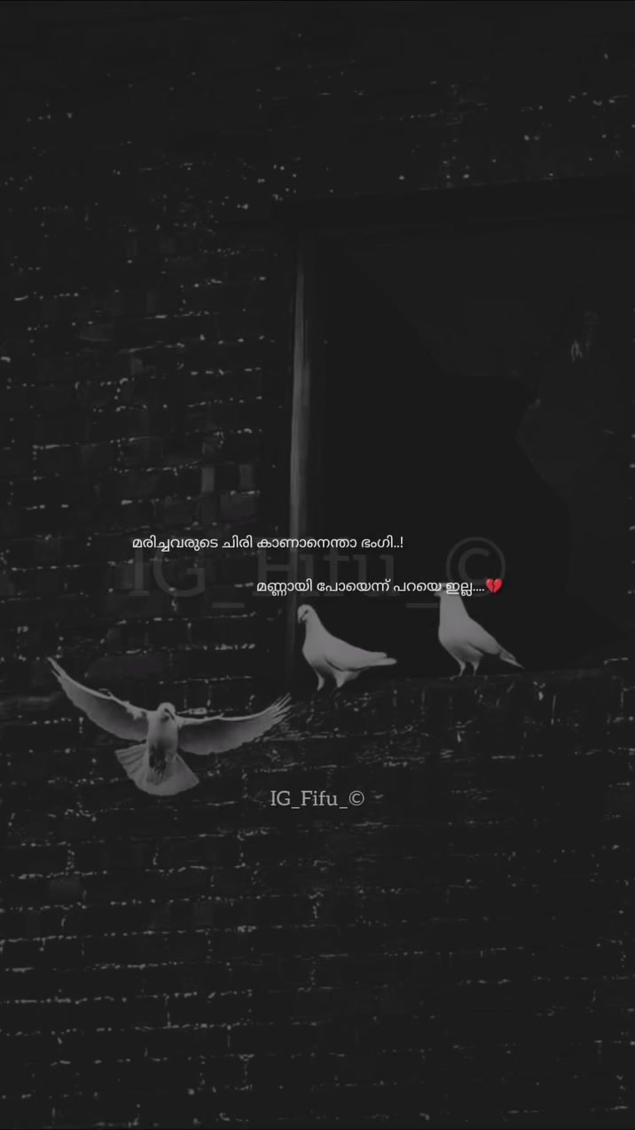 @💙❤️shabeer bin muhammed💙❤️