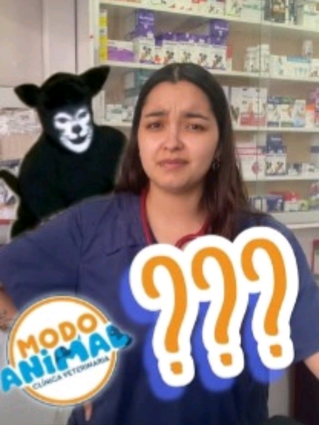 @VetModoAnimal