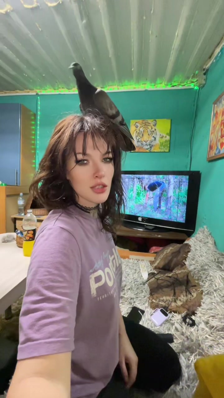 @Lubastiks