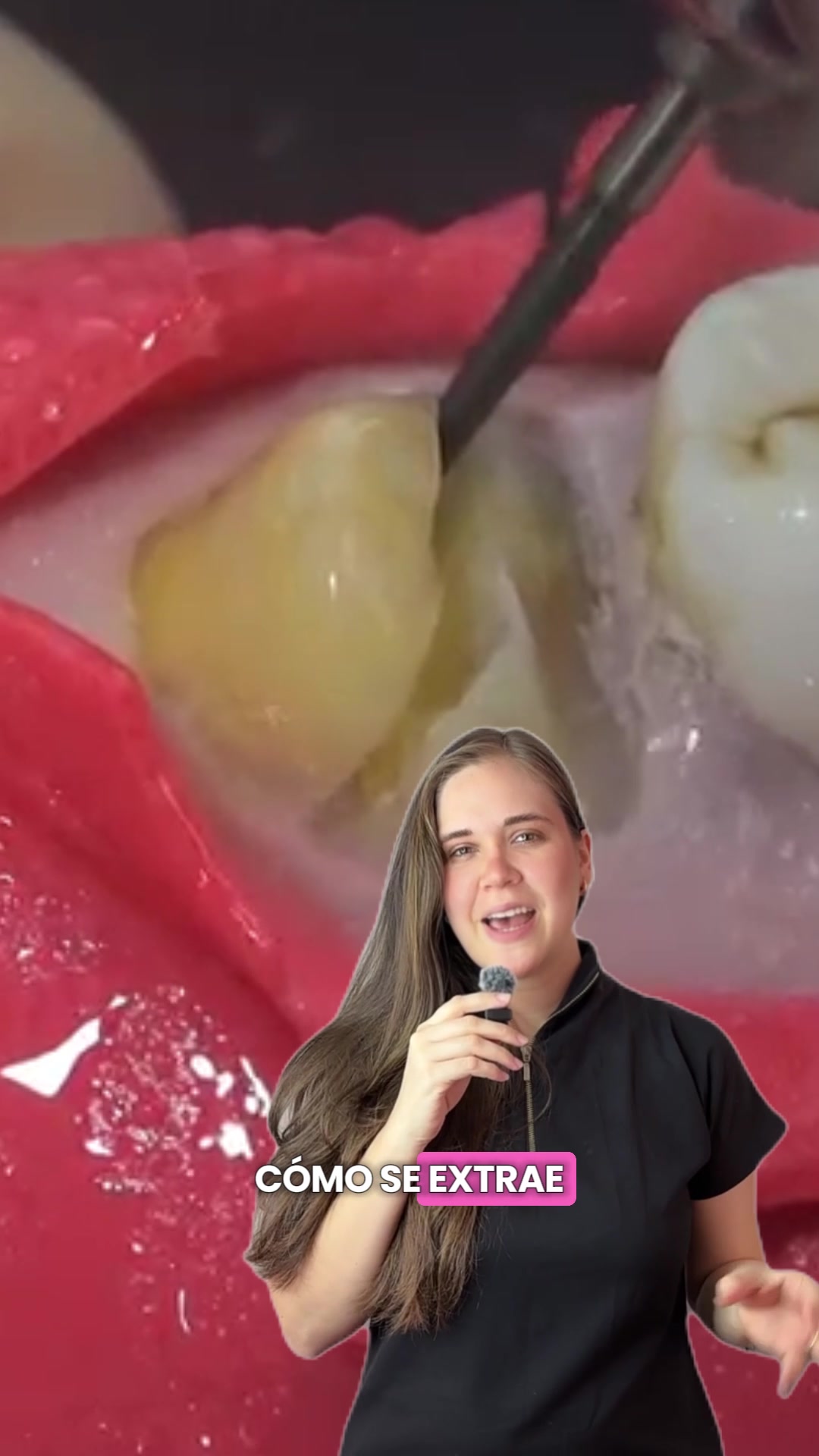 @odontologicals