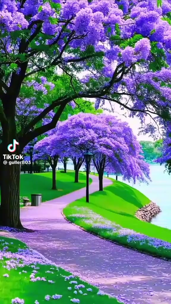 @নিঝুম তারা