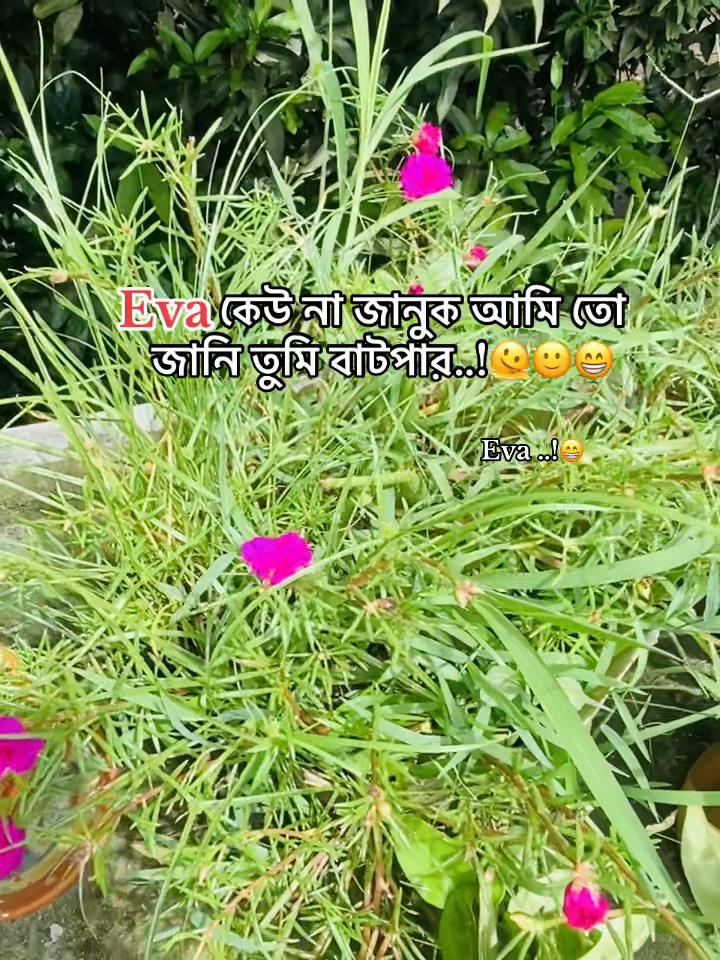 @Ashik