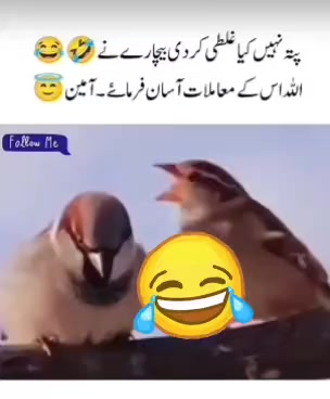 @ORAKZAI