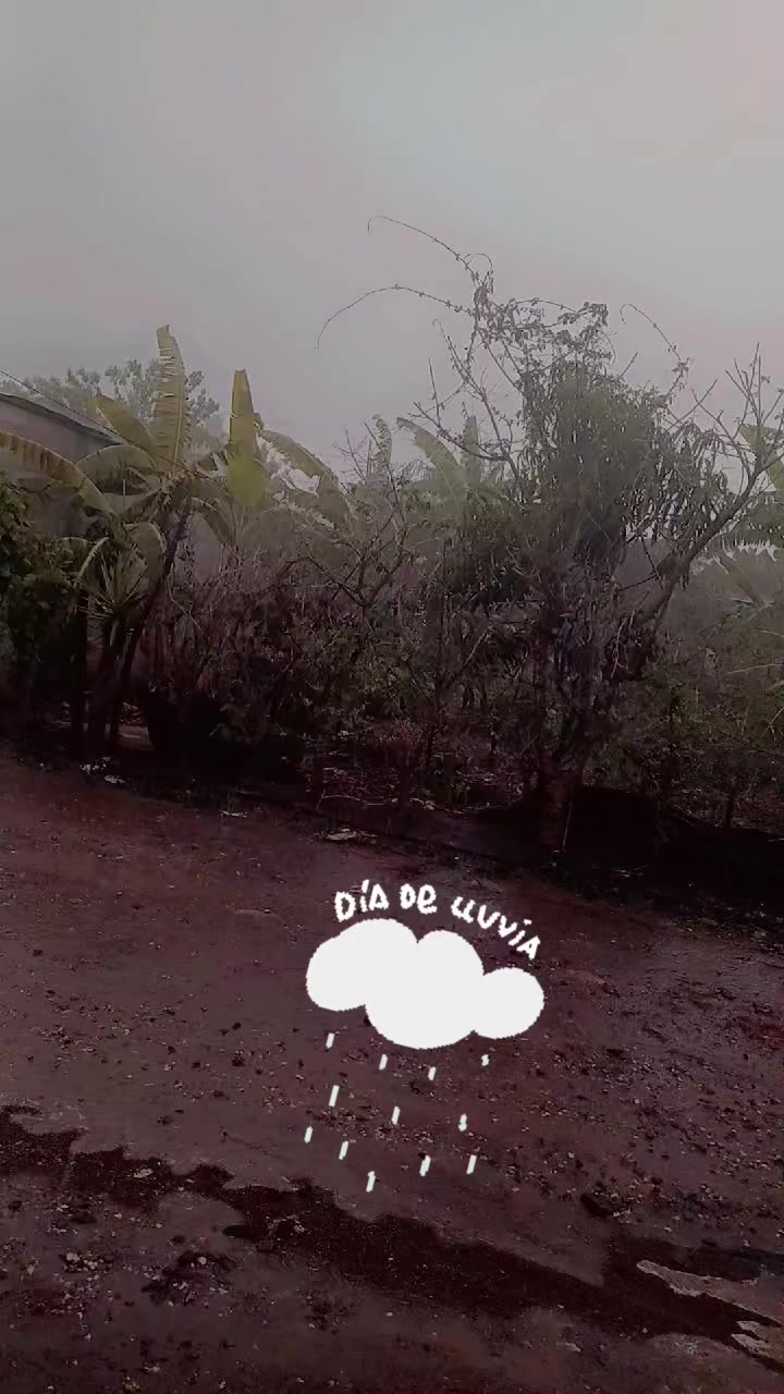 @Celi Jeronimo