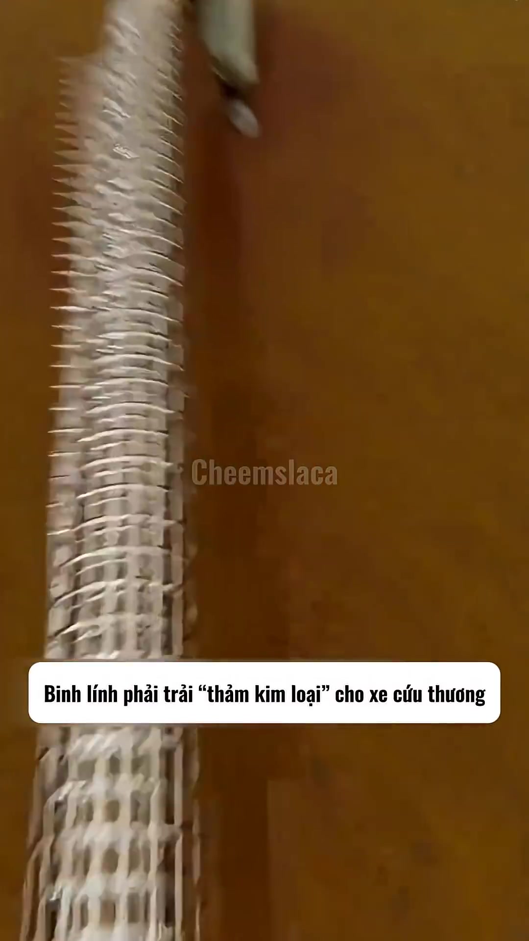 @Tiểu V&acirc;n Y&ecirc;n