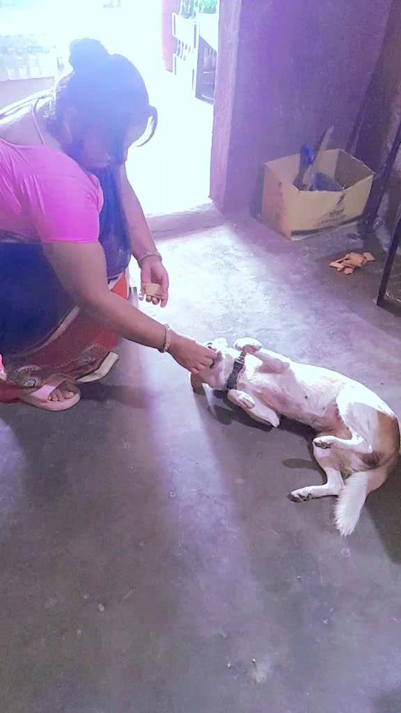 @Asha Kumari Mehta981