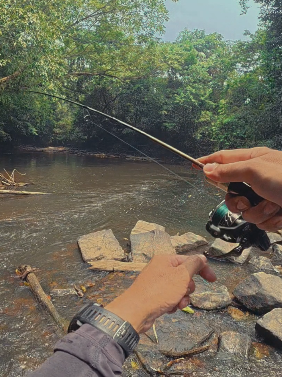 @Damz Strike Fishing