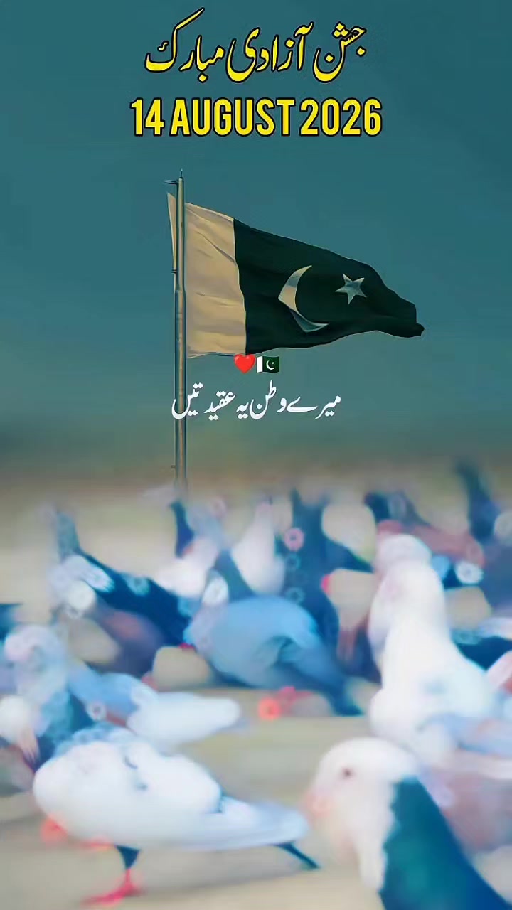 @عدیل رحمن لیہ وال کبوتر باز