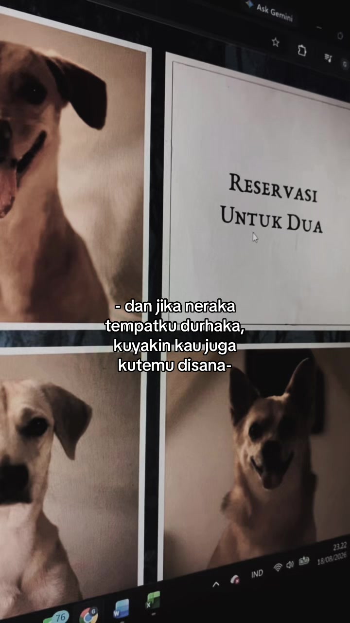 @dhit