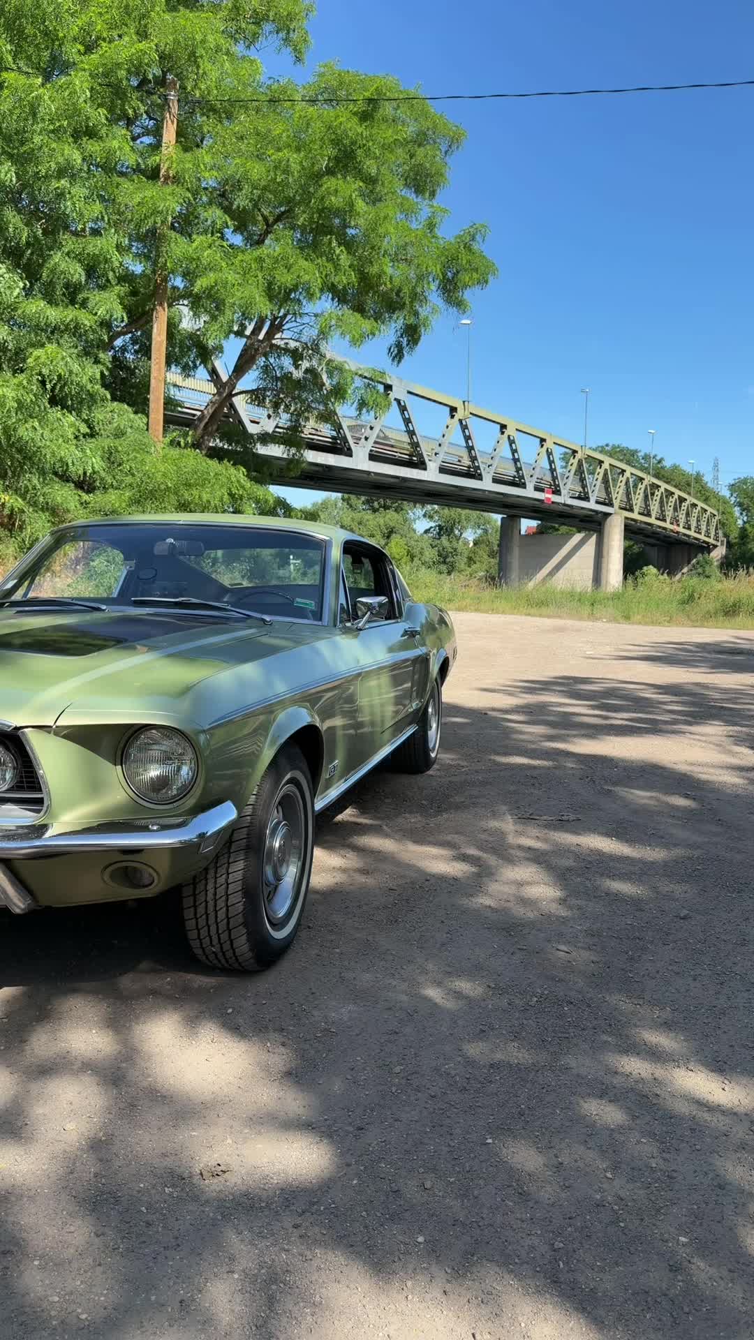 @ClassicSCodeFastback