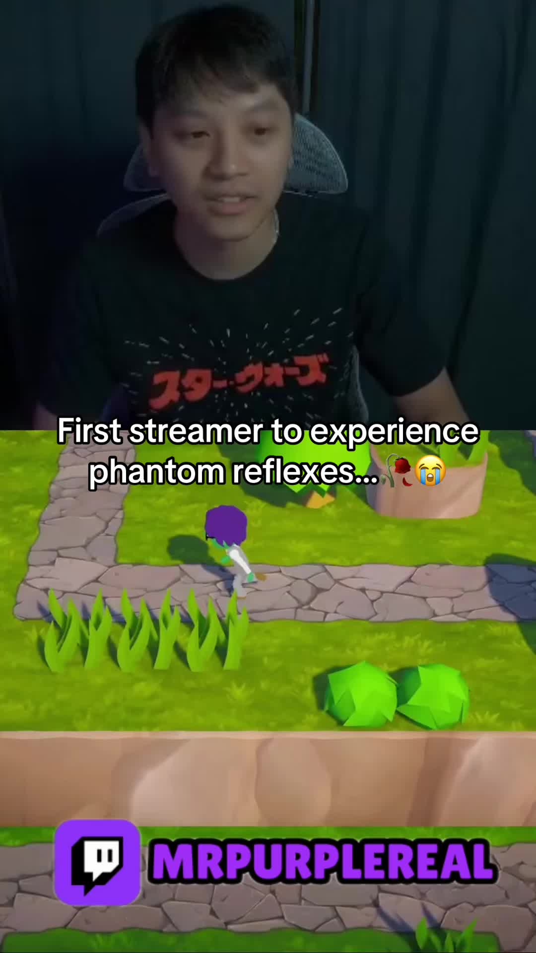 @MrPurpleClips
