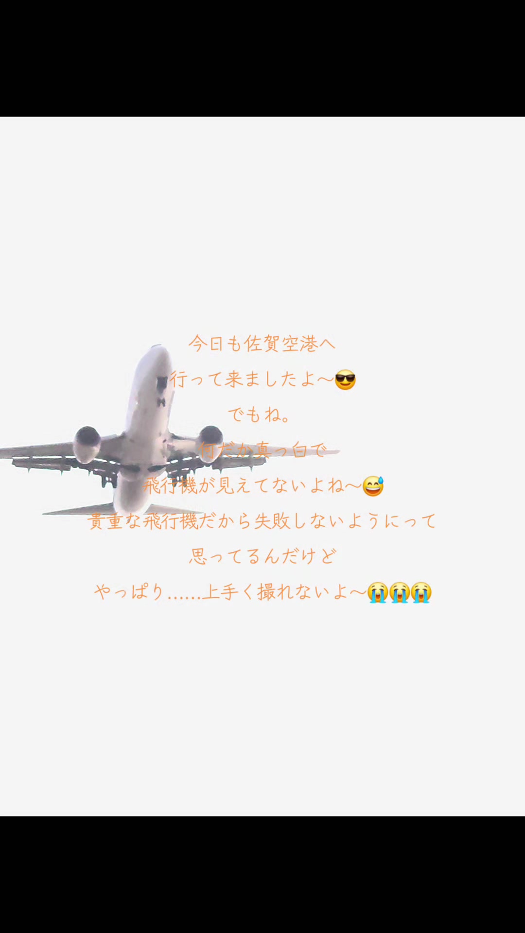 @ゆみ🐈⬛🐈⬛🐈⬛