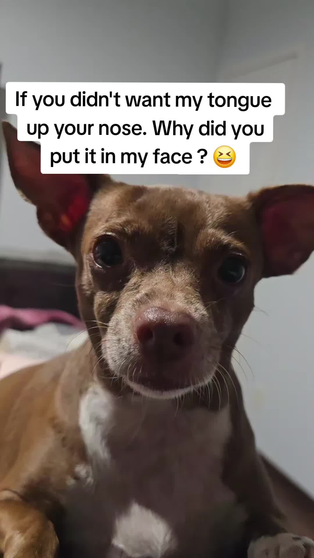 @DAISY MAY