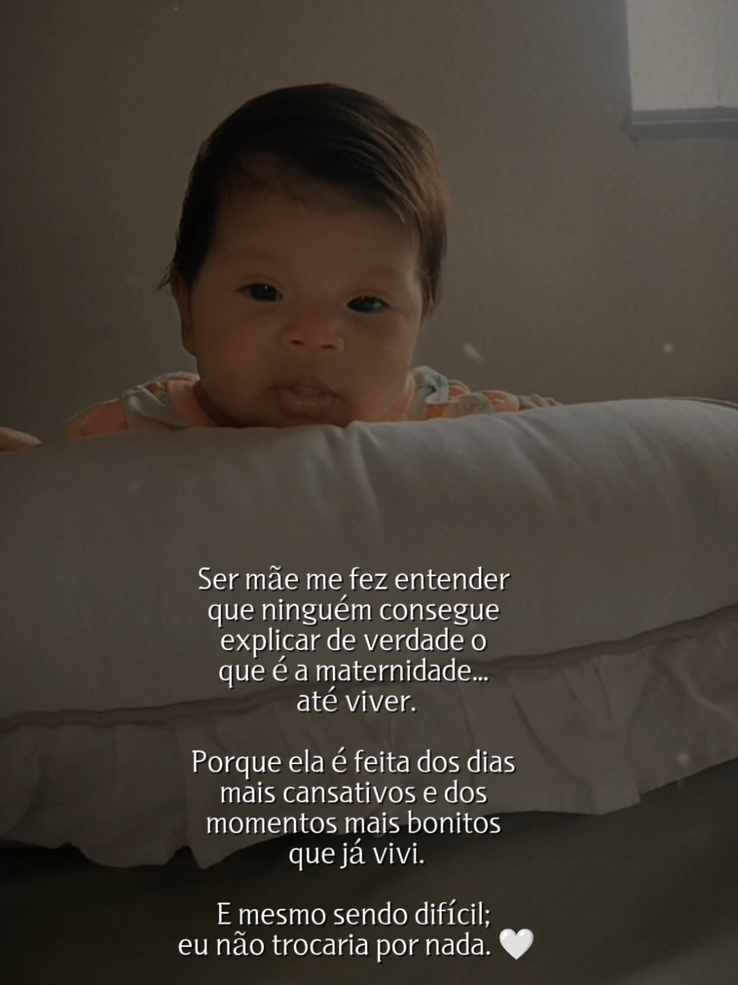 @Isabele Felix