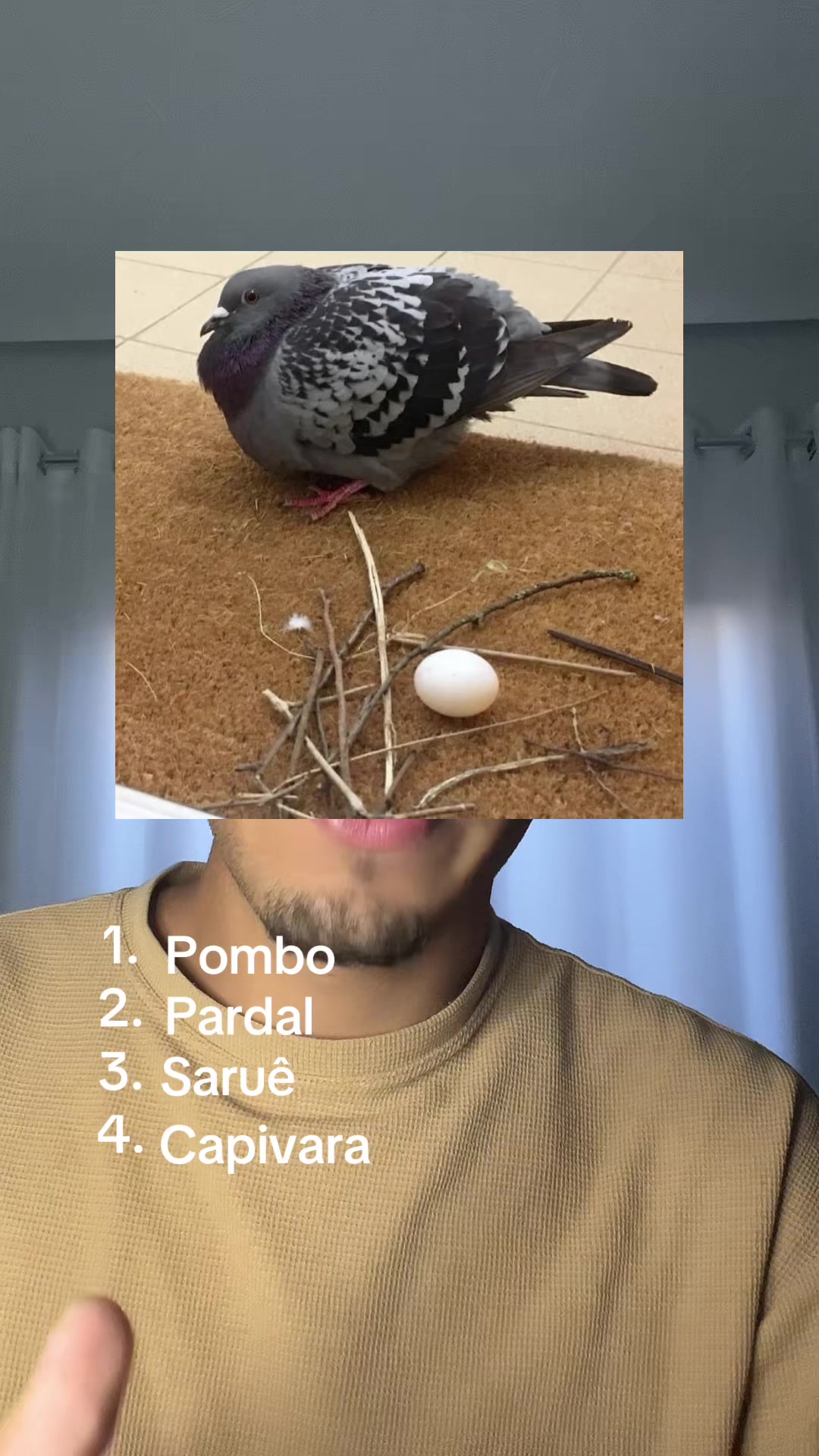 @marcoos