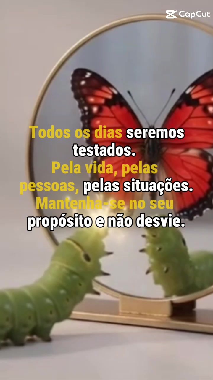 @Claudia Frateles