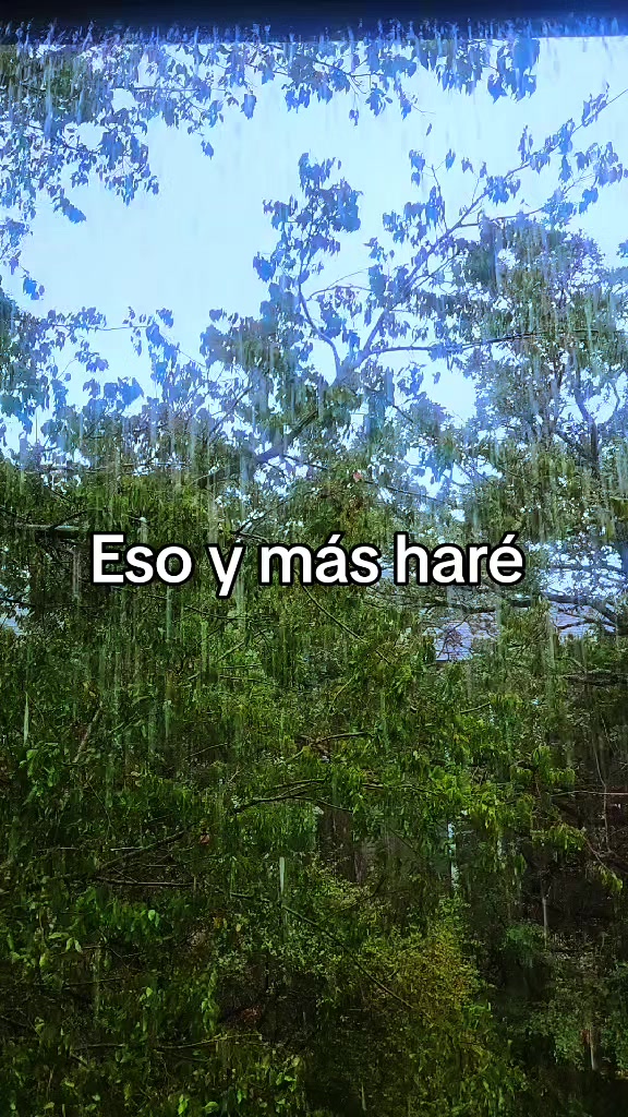 @Lupita Yañez