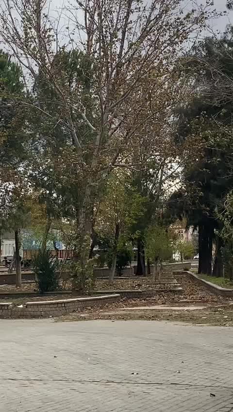 @EK