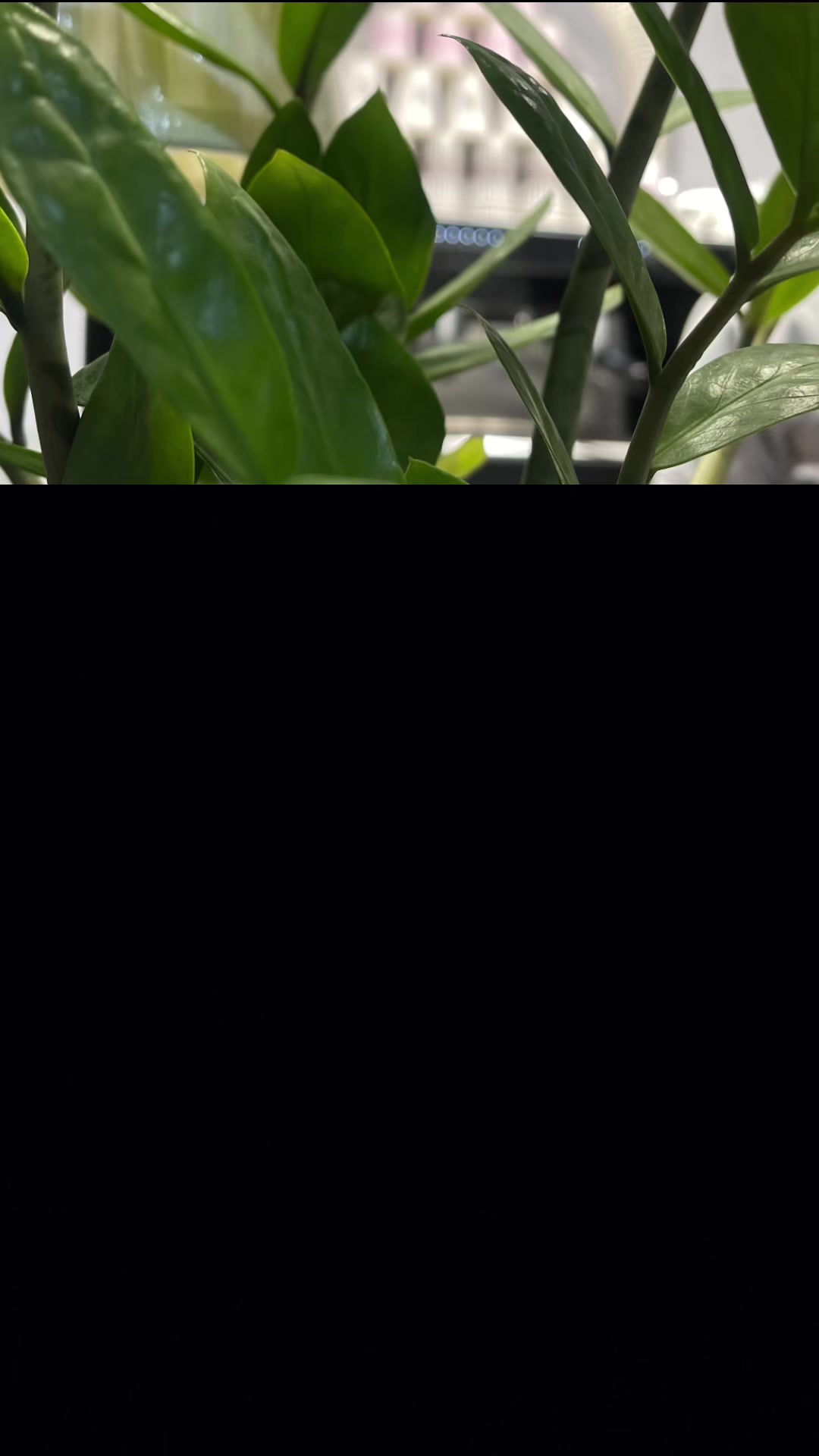 @Fa..🐢