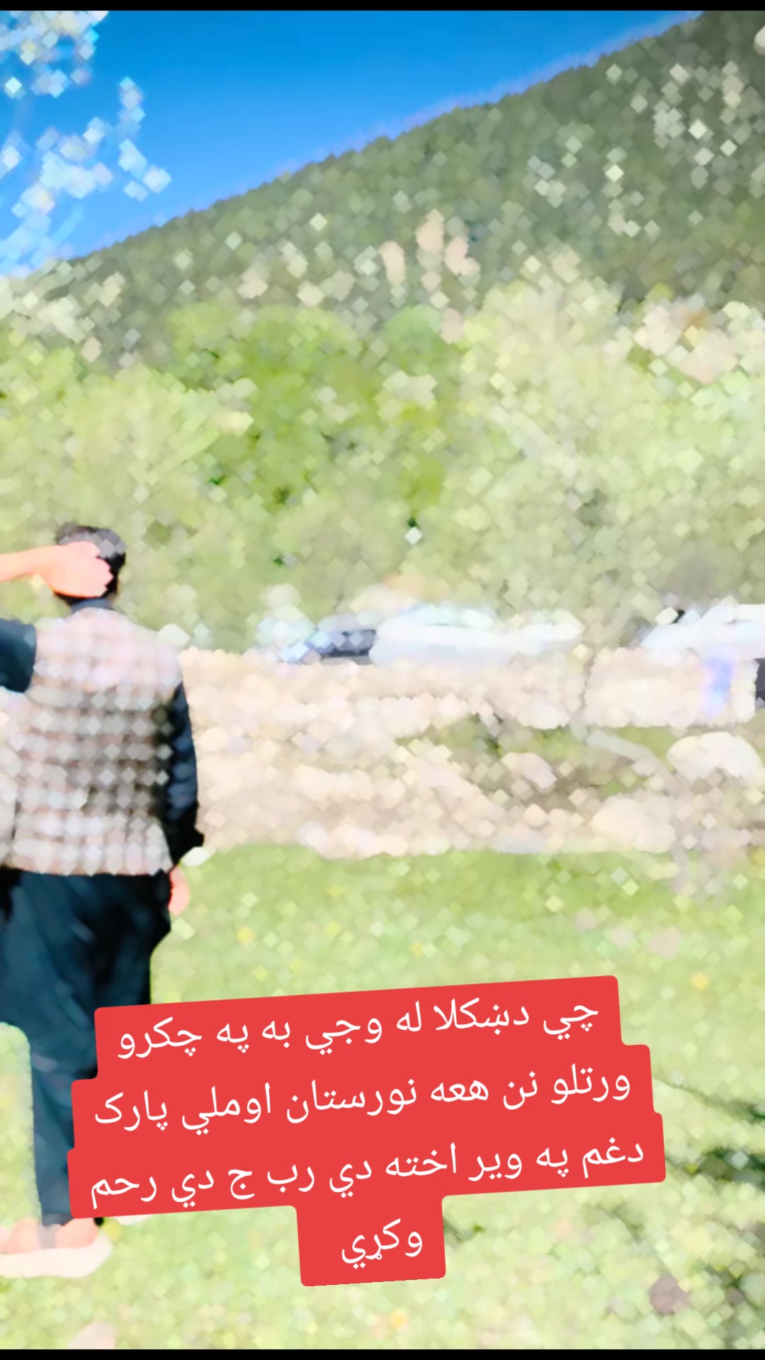 @Tayeebullah Hamdard