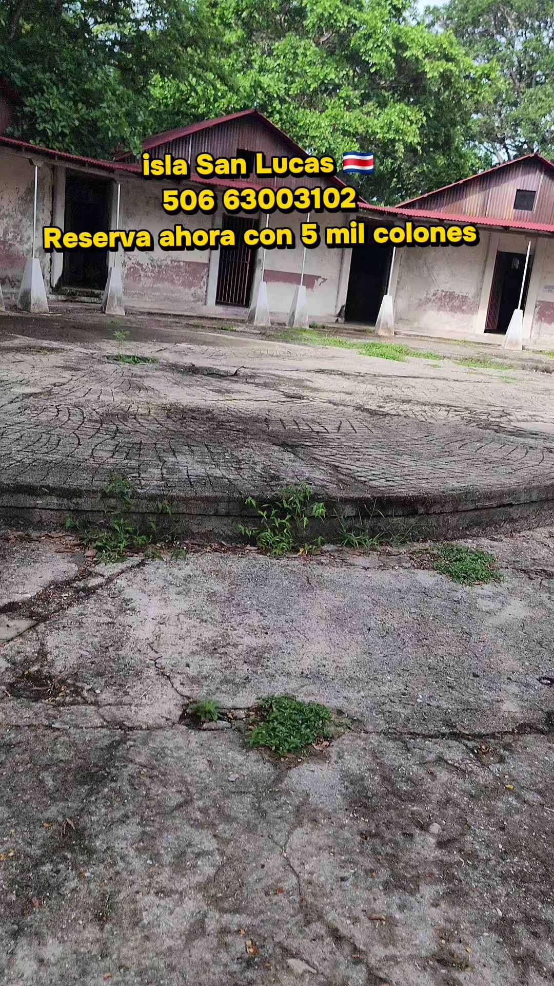 @Rasta Tours CR