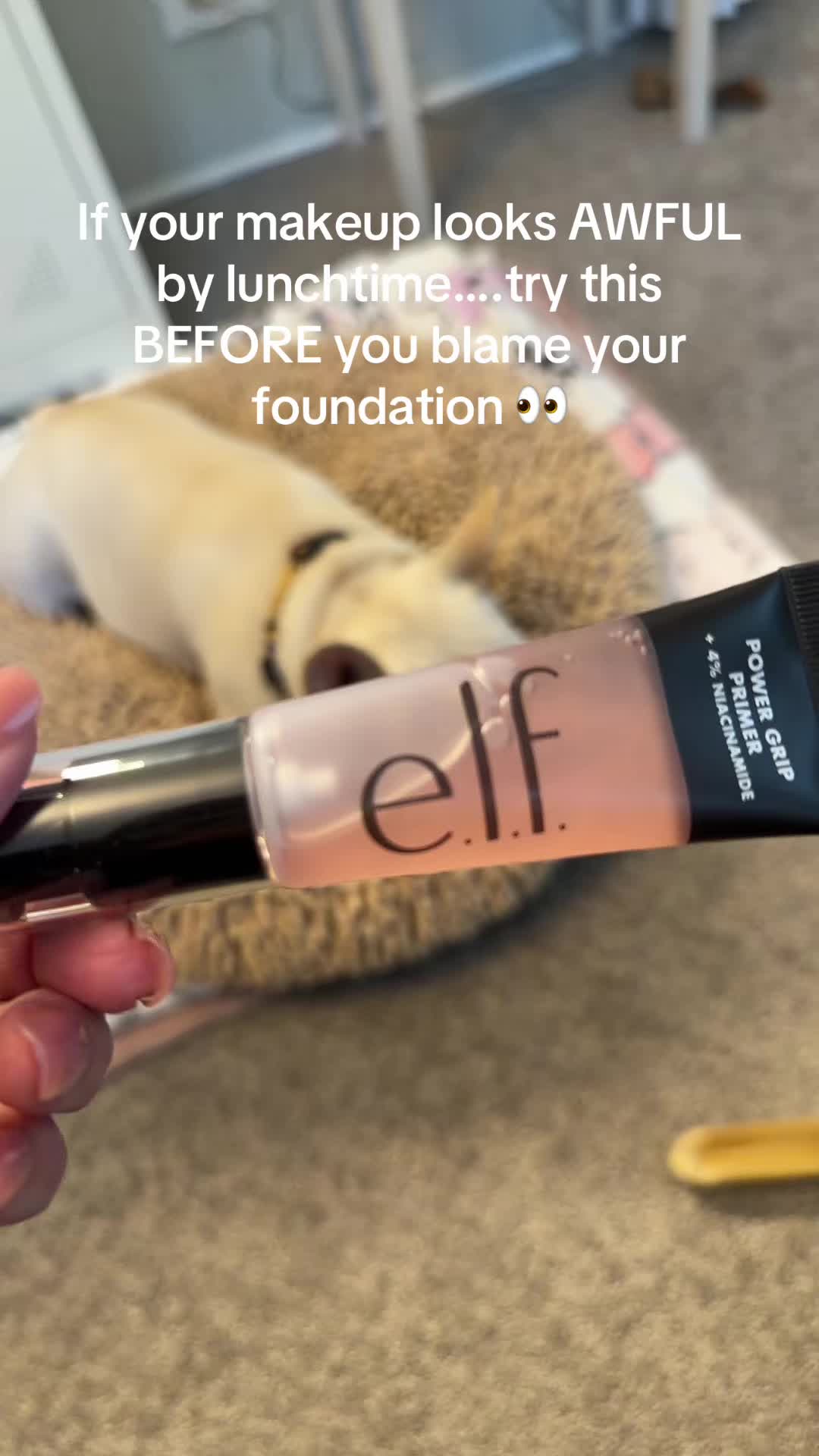 @Bagel the OG Frenchie