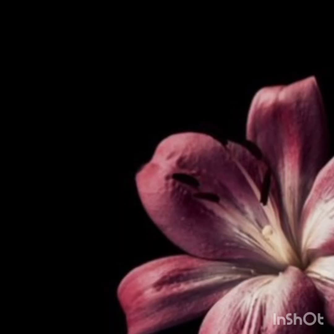 @editz.by.tani