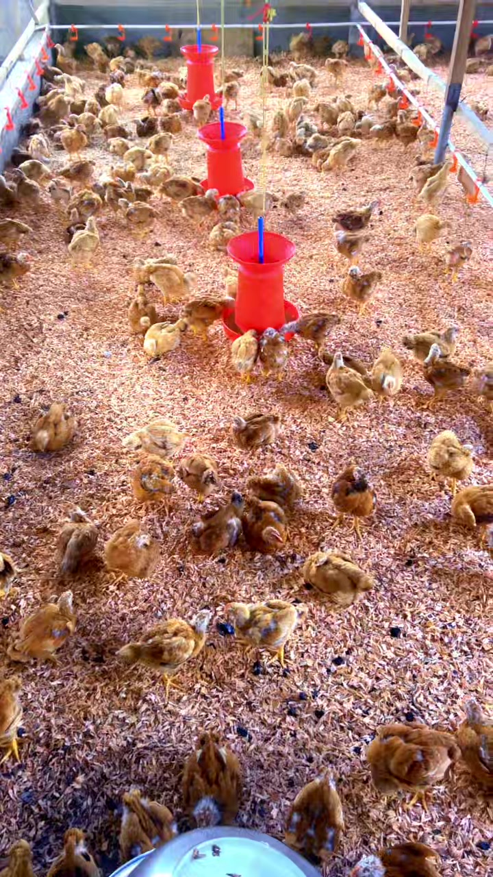 @evansjobsfarms