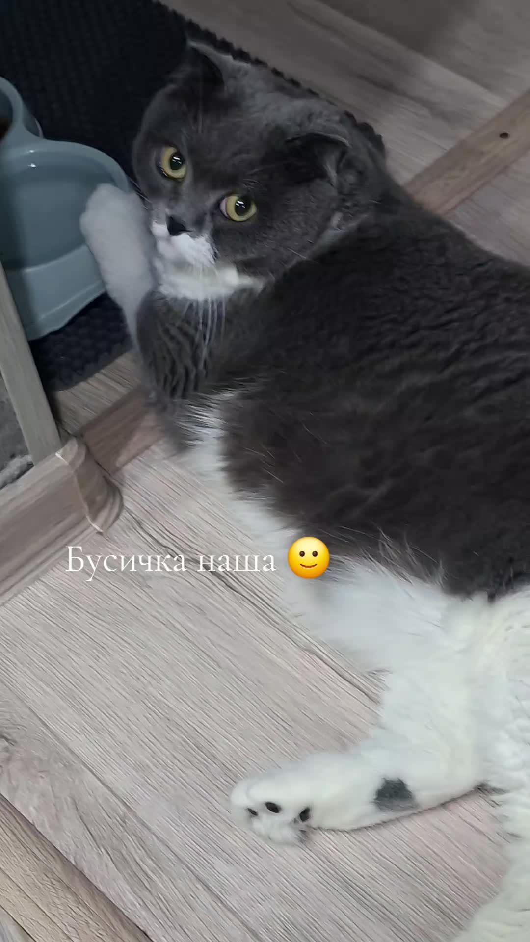 @Марта