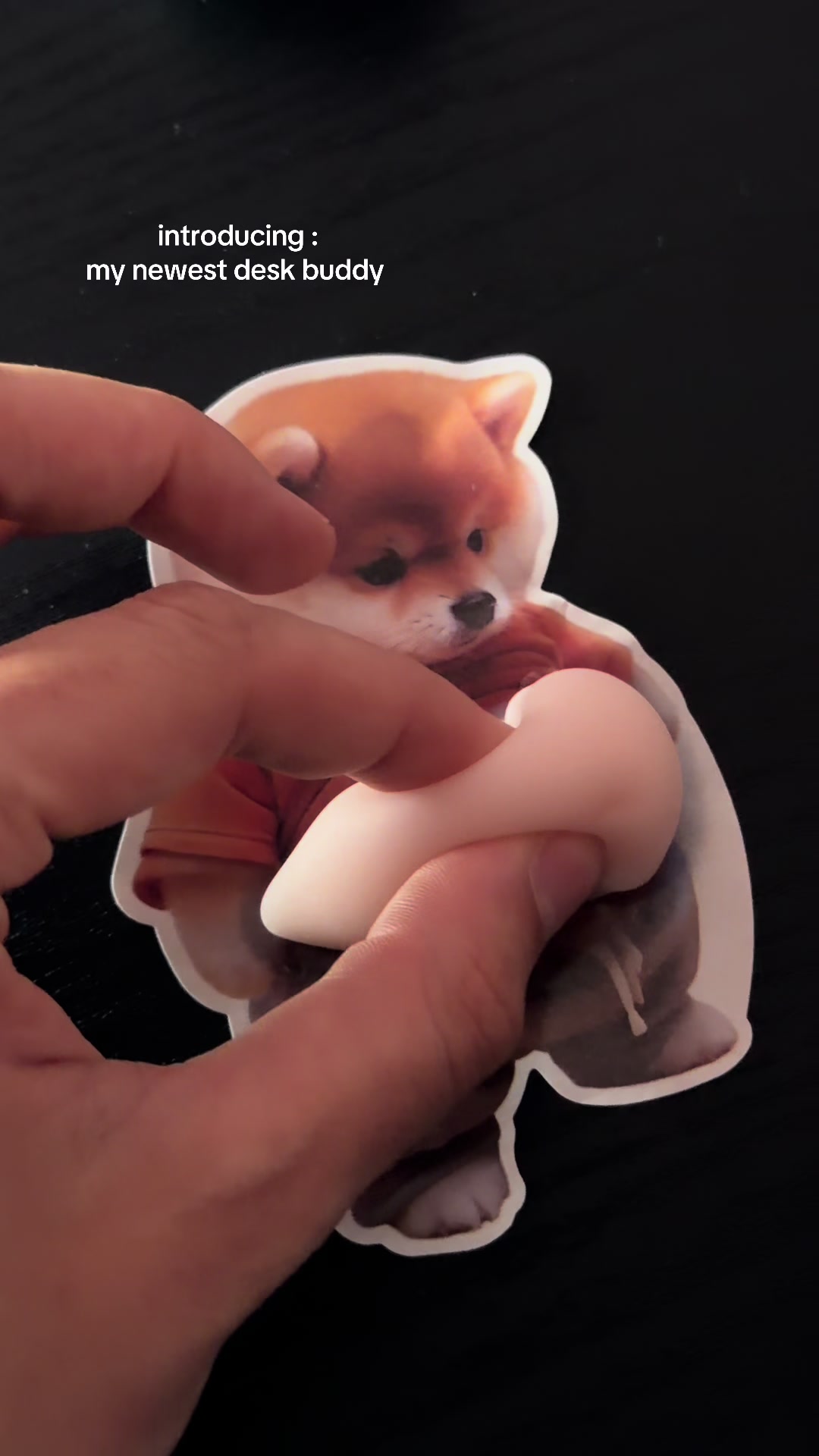 @squishy enthusiast