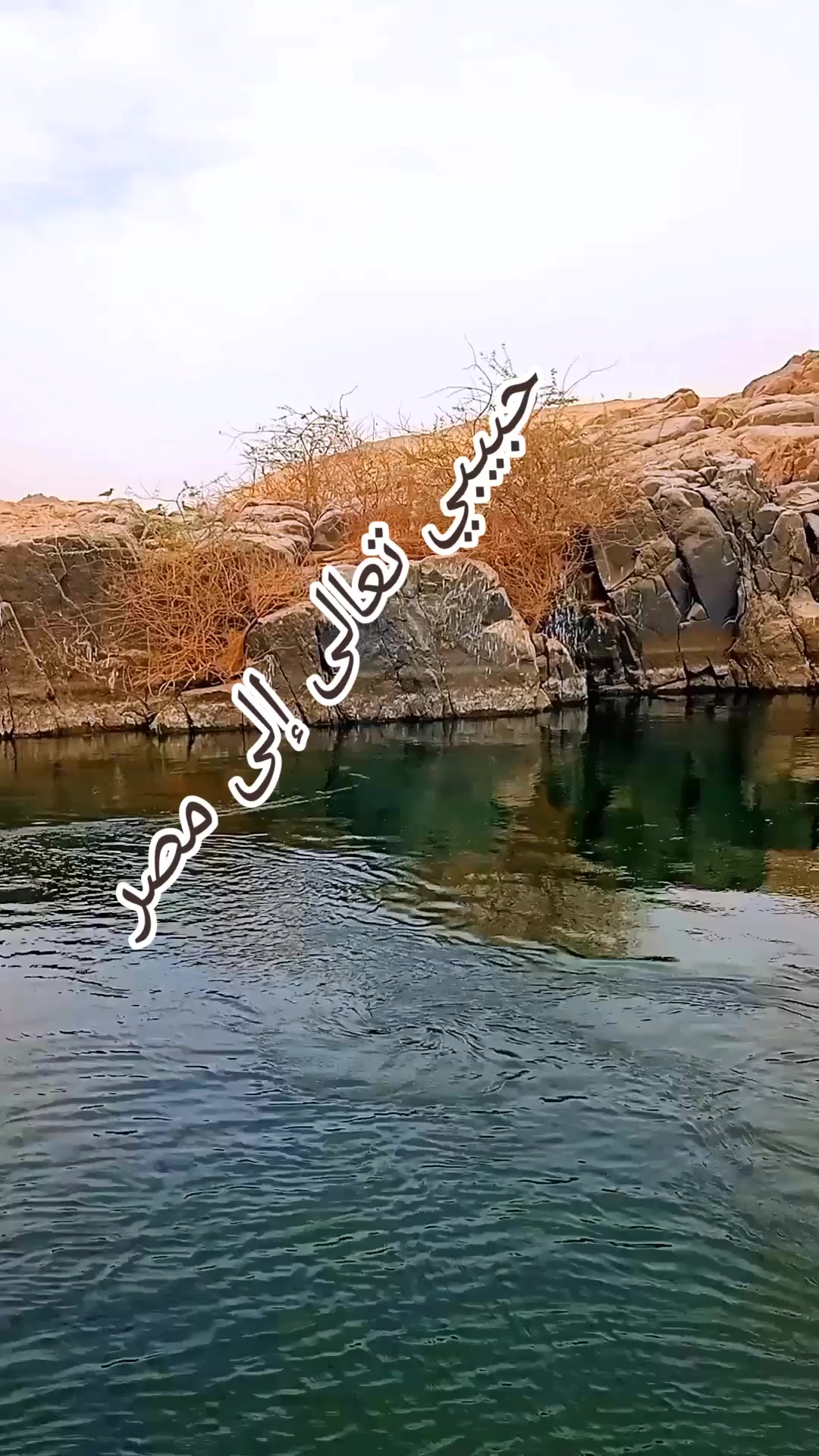@Dr. Khaled Youssef