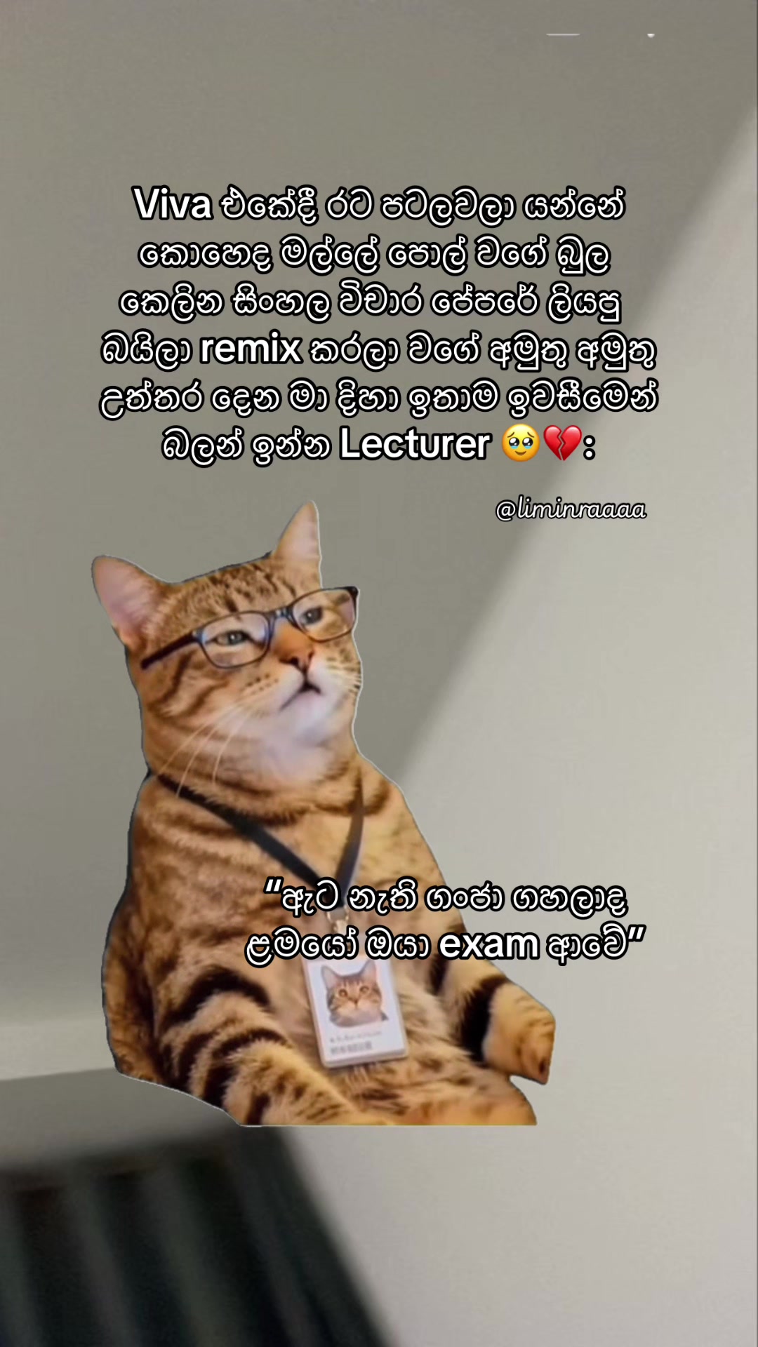 @Lisumi Jayawardana