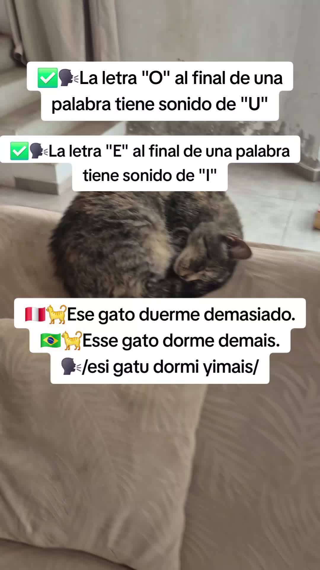@Portugués sin límites 2