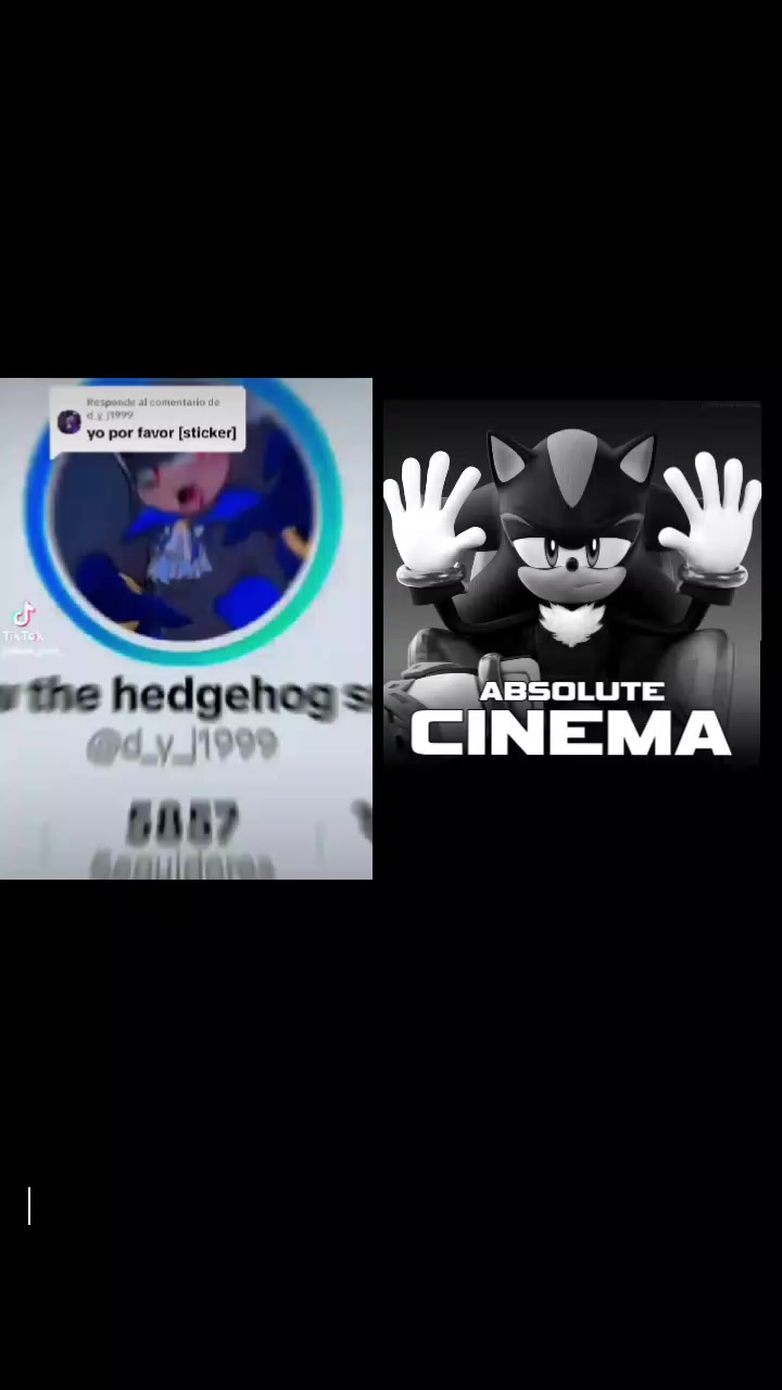 @❤️shadow the hedgehog sonadow?