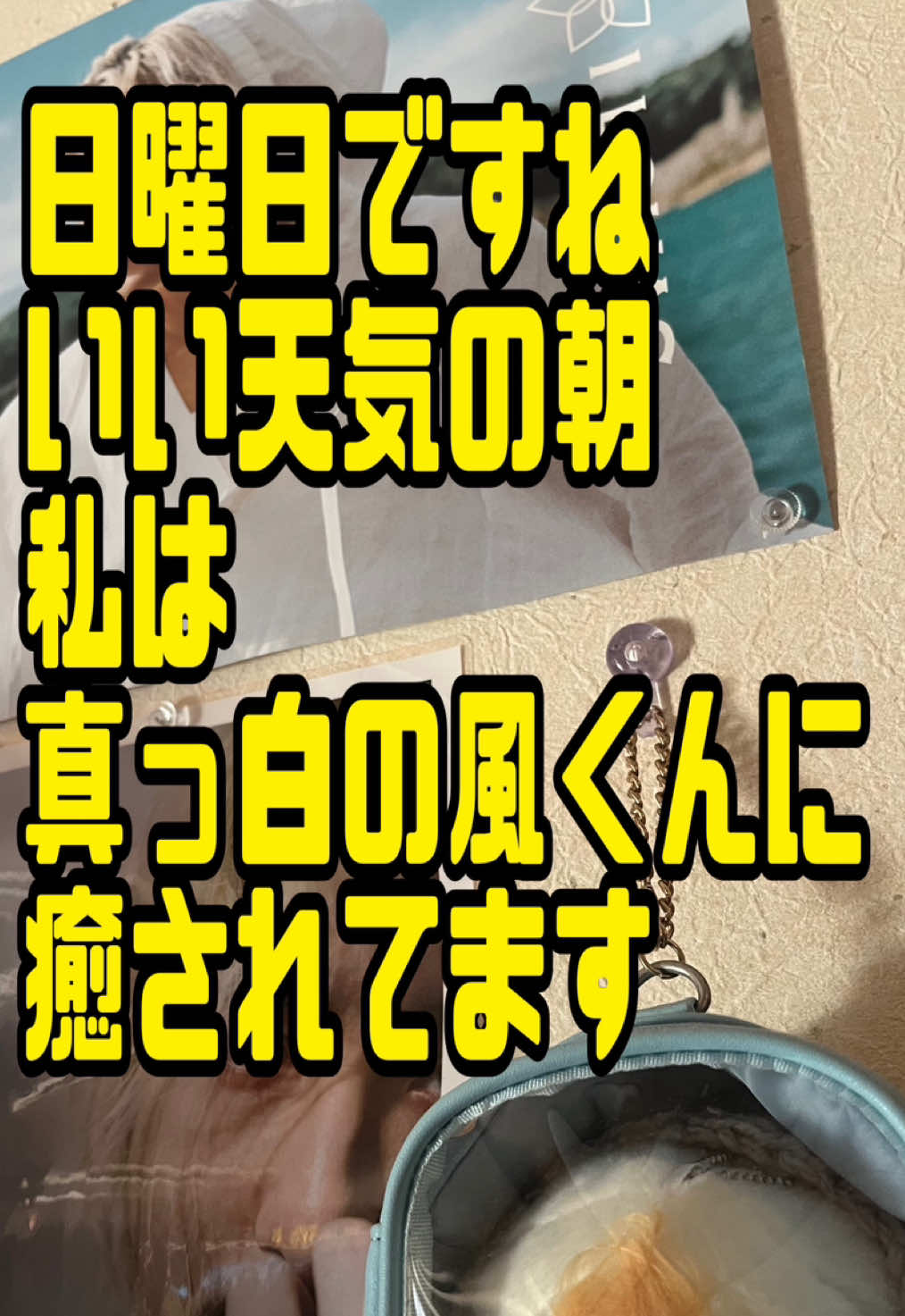 @庶民ちゃん