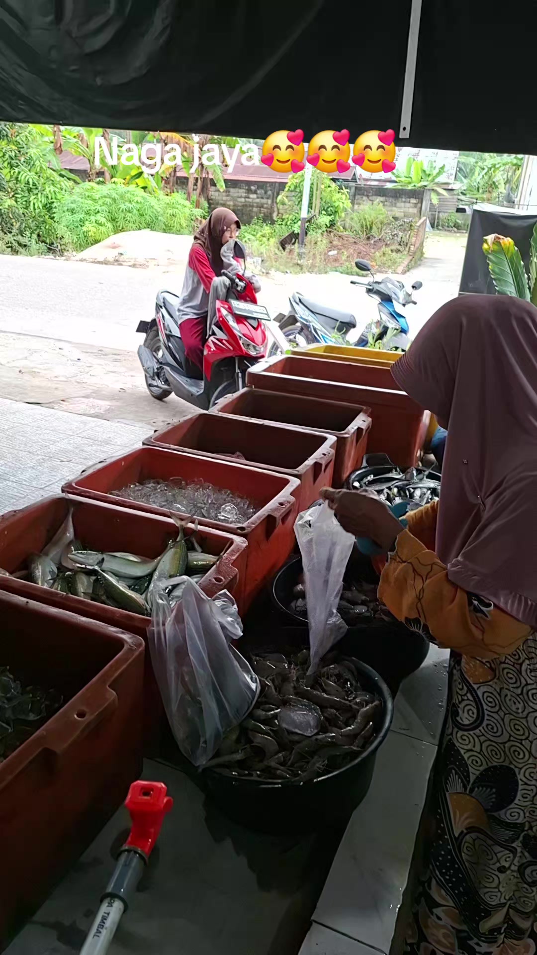 @Naga jaya