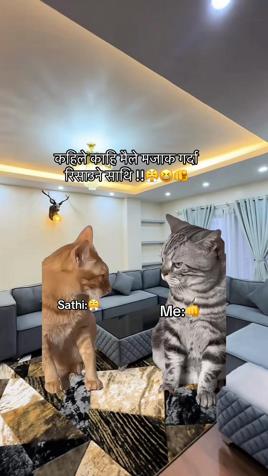 @अनिल तामाङ 🇦🇪🫧