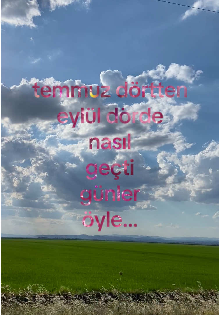 @✧vesilee✧
