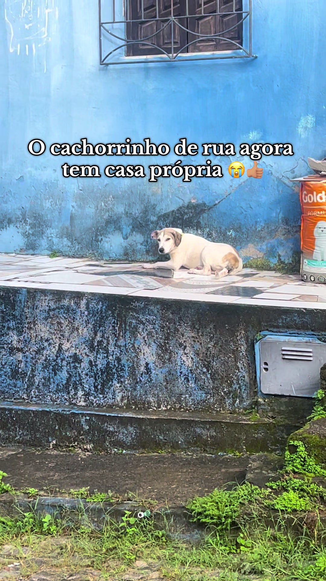 @iasmim