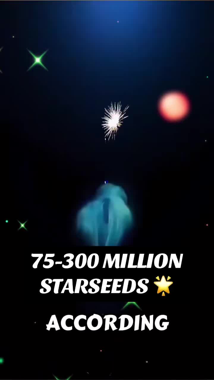 @bebeandthefirstwave2