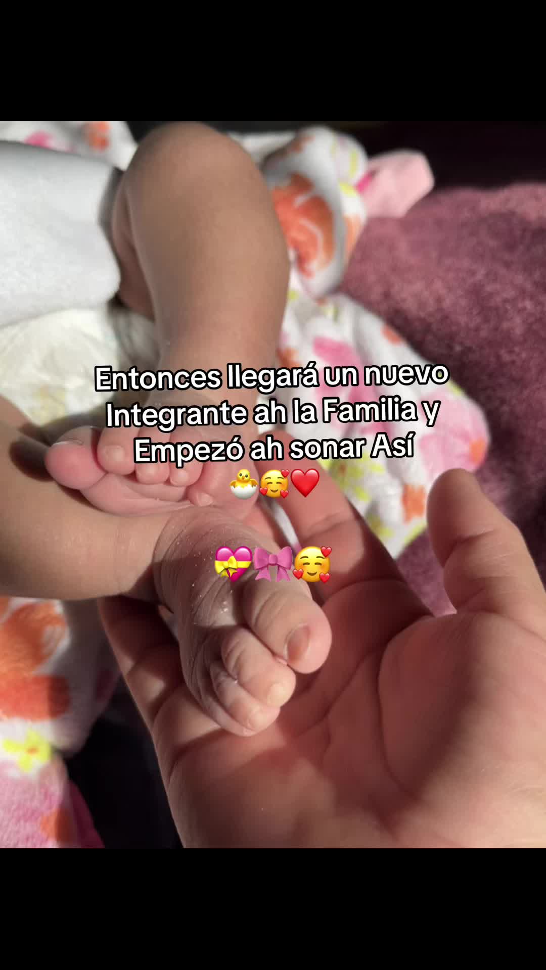 @💗✦ 𝓒𝓱𝓮𝓵𝔂 ✦🎀