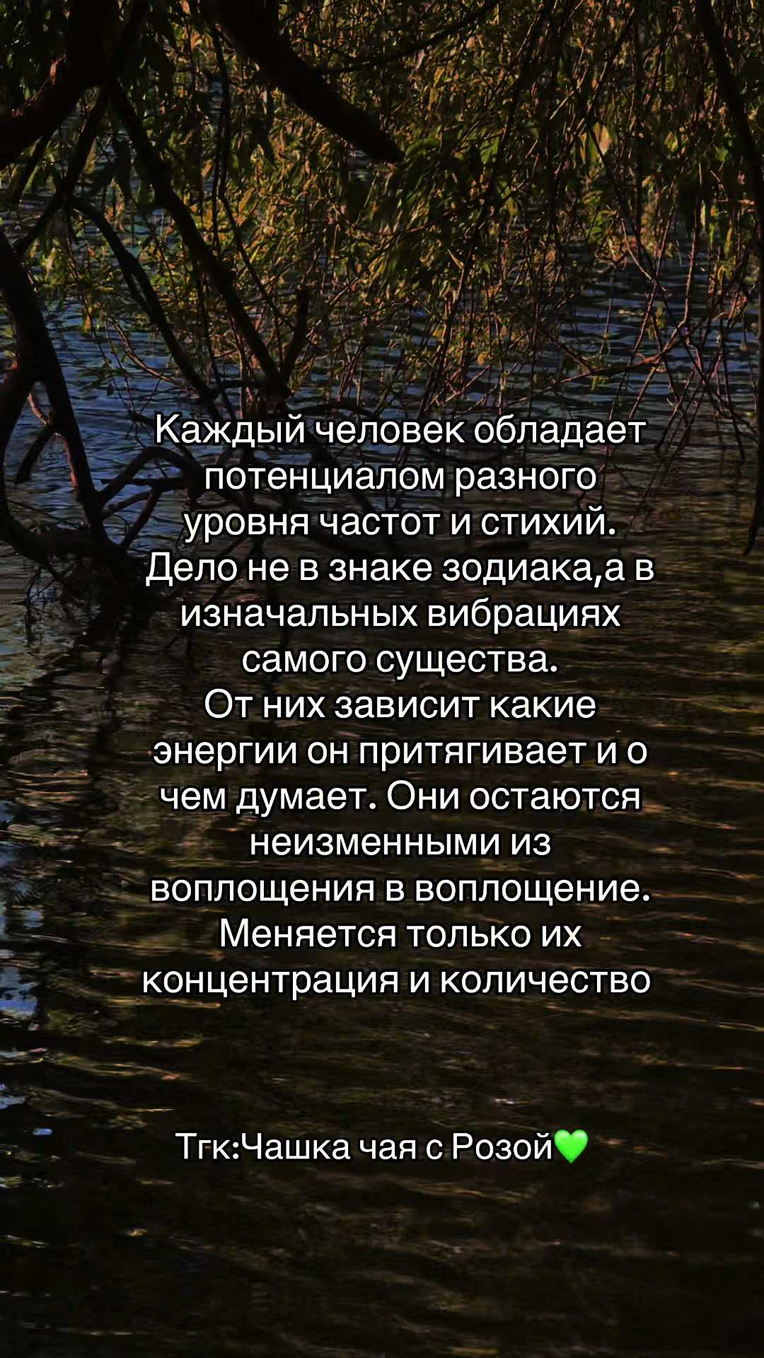 @🐉👁️ Гримуар Роуз 🩻🔮
