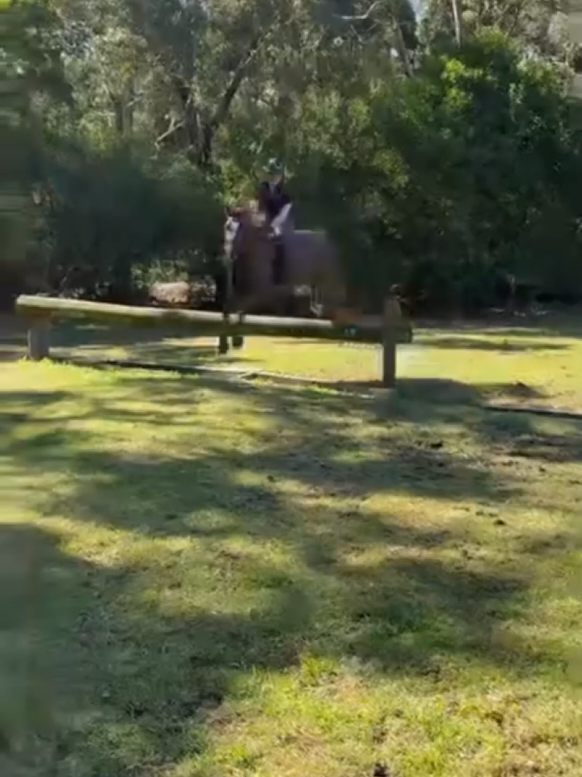 @Pip_equestrian9