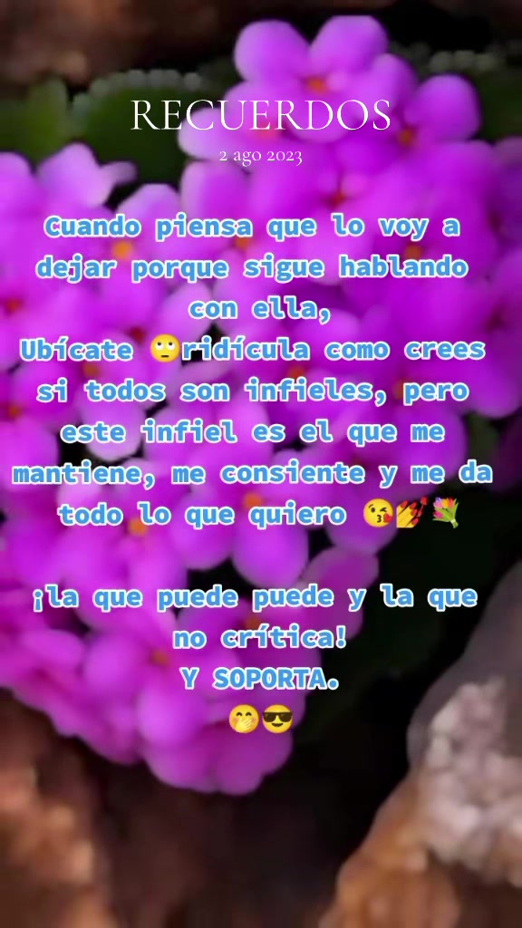 @Beatr&iacute;z🫅🏻🤩🌻