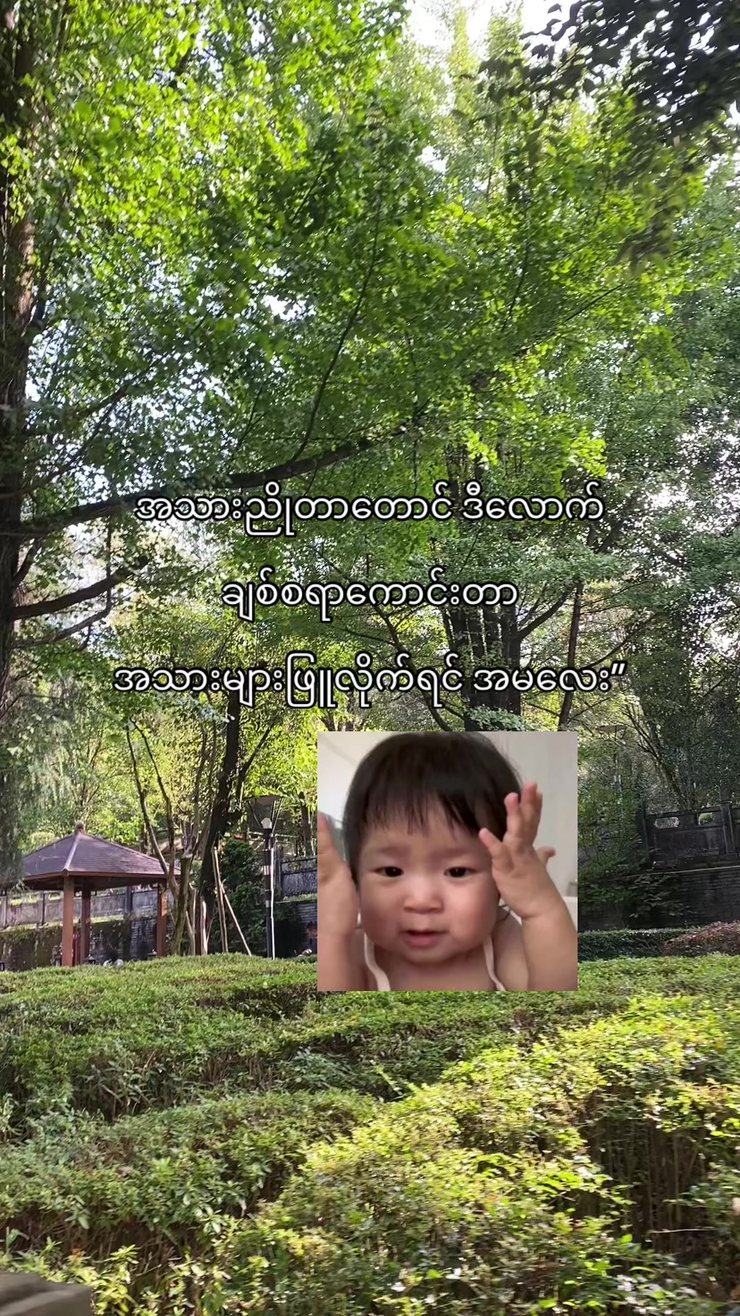 @๐๐พ๐๐”