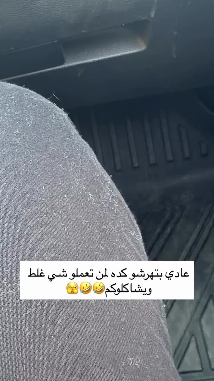 @Shushu Aboud