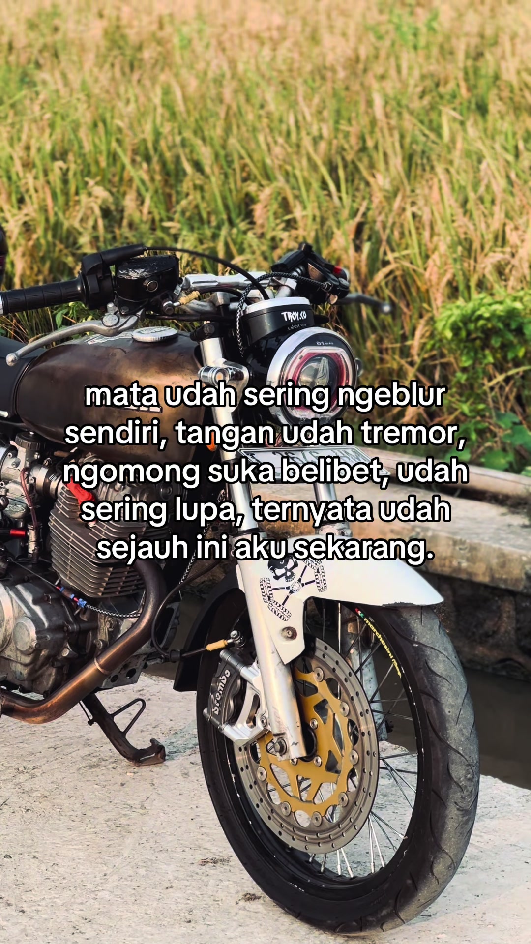 @Dewo