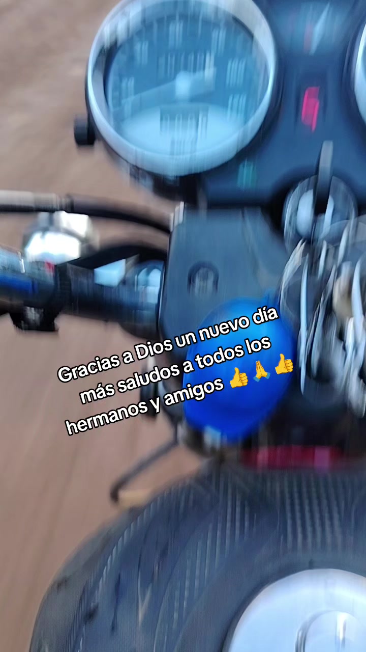 @Evercocyat