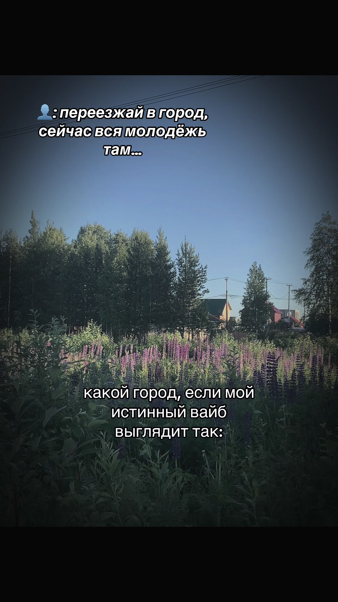 @Пешева о мире магии 🌒