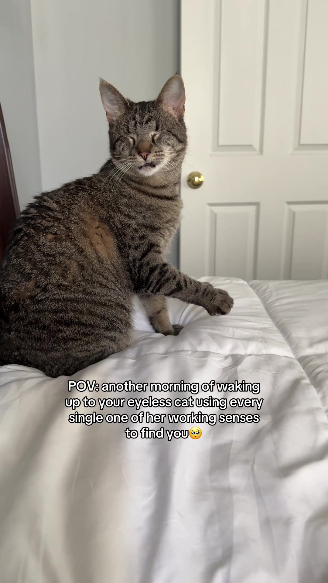@𝘼𝙢𝙗𝙚𝙧 & 𝙎𝙩𝙚𝙫𝙞𝙚